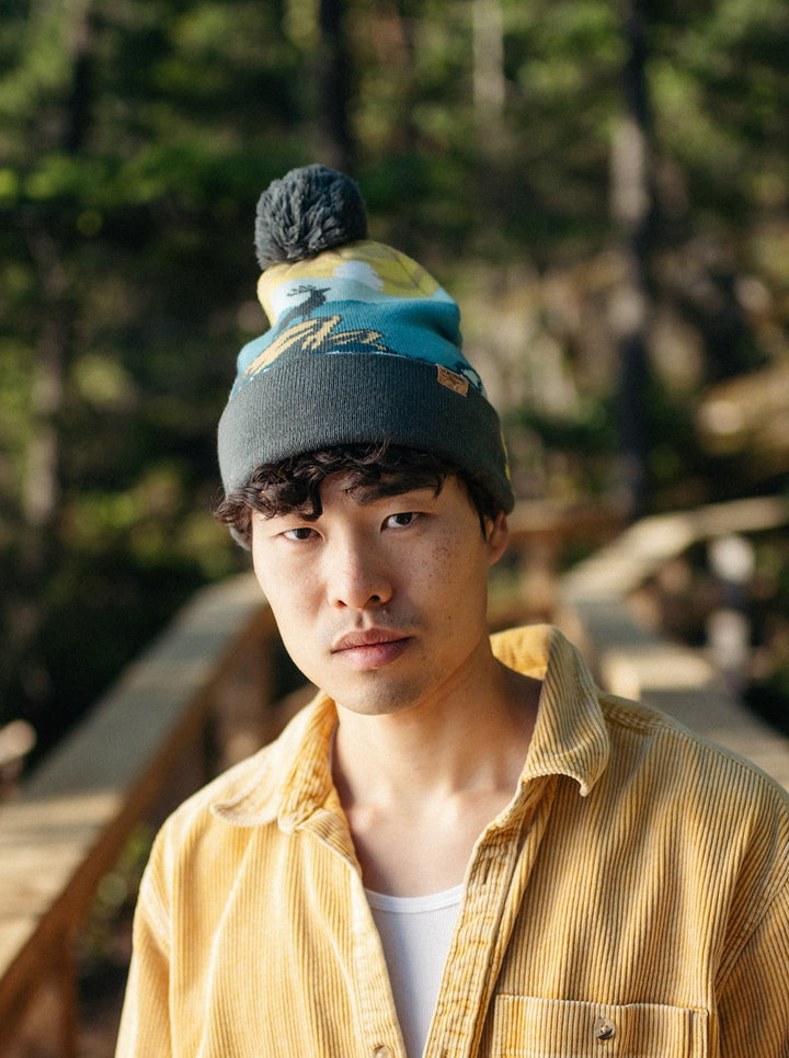 Shenandoah National Park PomPom Beanie