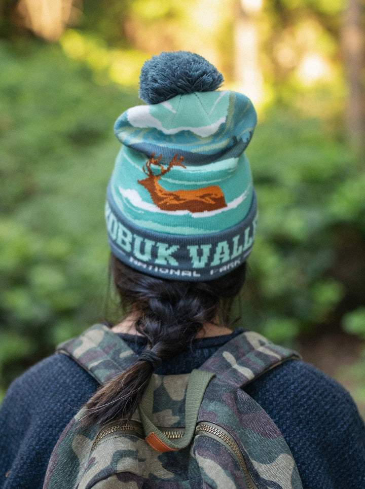 Kobuk Valley National Park PomPom Beanie