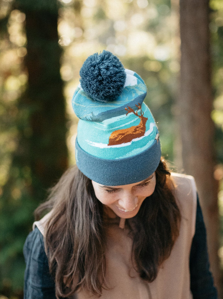 Kobuk Valley National Park PomPom Beanie